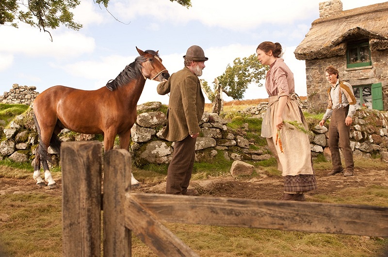 horses in the war, remembering war horses, steven spielberg horse, horses in history, world war horse