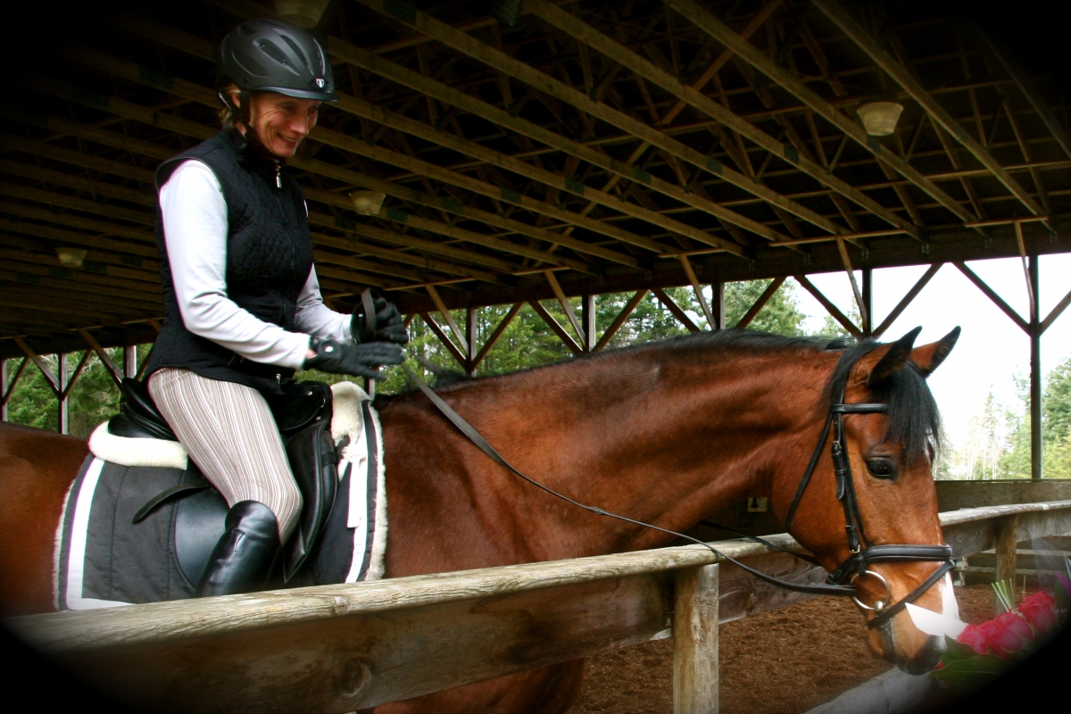 Dona Naylor, horse trailer accident, horse trailer, Libby Naylor, Heather Tryon, Bonny Bonnello, horse accident, horse trailering, horse miracle