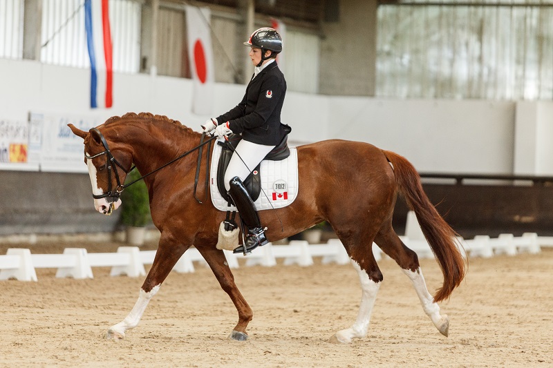 Equestrian Canada Para-Dressage Team Rio 2016 Paralympic Games Canadian Paralympic Committee Lauren Barwick Robyn Andrews Ashley Gowanlock Roberta Sheffield Equestrian Canada Para-Dressage Team Rio 2016 Paralympic Games Canadian Paralympic Committee Lauren Barwick Robyn Andrews Ashley Gowanlock Roberta Sheffield