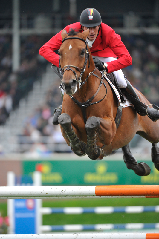 lori k. warren, fit horse, horse fitness, horse conditioning, horse schooling, equine conditioning, equine schooling, equine fitness, fit equine, equine interval, equine gymnastics, horse gymnastics, horse strength, equine strength lori k. warren, fit horse, horse fitness, horse conditioning, horse schooling, equine conditioning, equine schooling, equine fitness, fit equine, equine interval, equine gymnastics, horse gymnastics, horse strength, equine strength