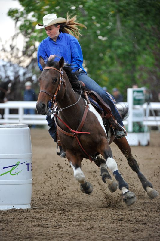 lori k. warren, fit horse, horse fitness, horse conditioning, horse schooling, equine conditioning, equine schooling, equine fitness, fit equine, equine interval, equine gymnastics, horse gymnastics, horse strength, equine strength lori k. warren, fit horse, horse fitness, horse conditioning, horse schooling, equine conditioning, equine schooling, equine fitness, fit equine, equine interval, equine gymnastics, horse gymnastics, horse strength, equine strength