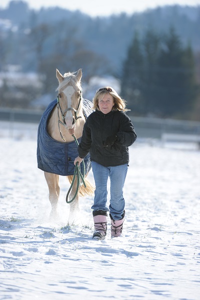 winter horse, riding in winter, training in winter, conditioning horse, keep horse fit winter, horse stretches, carrot stretch winter horse, riding in winter, training in winter, conditioning horse, keep horse fit winter, horse stretches, carrot stretch
