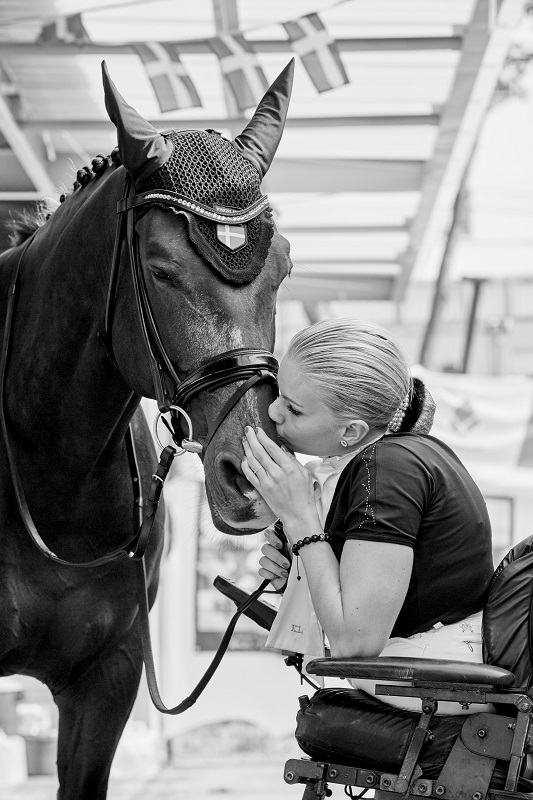 FEI Rio 2016 Paralympic Games Olympic negative test clean Ingmar De Vos FEI Rio 2016 Paralympic Games Olympic negative test clean Ingmar De Vos