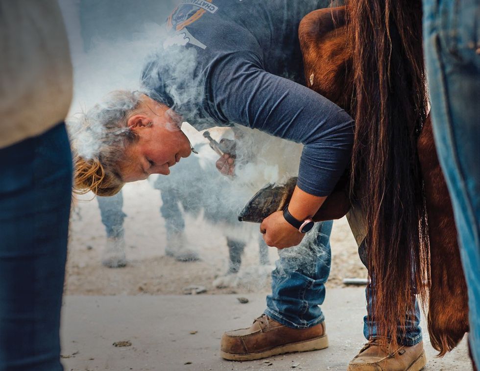 farriery evolution, hoof care horses, equine hoof science, farrier Canada, horse hoof health, modern farriery techniques, equine biomechanics, horse shoeing Canada, farrier education, Canadian farriers association, hoof care innovation, equine welfare Canada, farrier certification, horse industry Canada, equine professionals