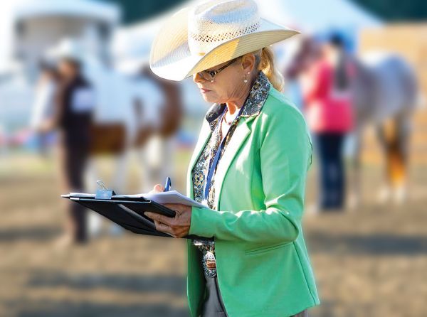 horse conformation, horse movement analysis, equine judging, horseman’s eye, horse training Canada, equine biomechanics, horse soundness, judging horses Canada, equine body language, horse gait analysis, horse selection tips, equestrian coaching Canada, horse show judging, Canadian horse industry, horse performance evaluation