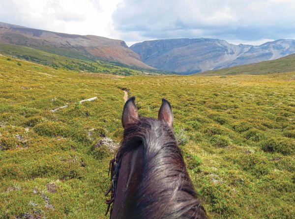 horse camping tips, some ways to improve horse camping, go camping with your horse