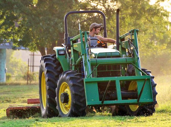 Caring for horse pasture, Dr. Stephen Duren, mowing horse pasture, mowing lawn, horse paddock management, risks horses grazing mowed pasture, horse care, horses consuming molded grass, clipped forage choking hazard horses