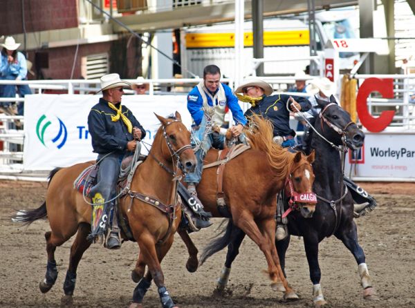 rodeo pick up riders, Gary Rempel rodeo, pick up horses, rodeo horses Canada, equine jobs Canada, horse careers rodeo, Quarter Horses rodeo, Canadian rodeo industry, saddle bronc pickup, bareback riding safety, rodeo horse training, ranch horses rodeo, horse jobs Canada, working cow horse, rodeo arena safety