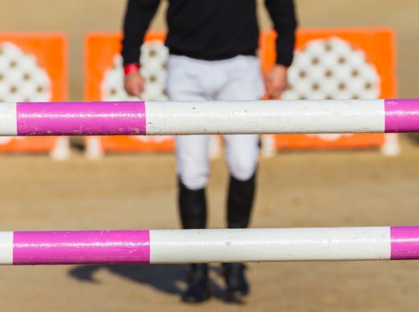 walking horse jump course, learning your horse jump course, studying equine jump course