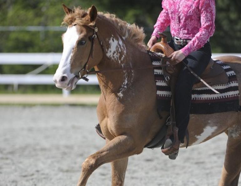 rushy lope, too fast in canter, raises head in canter, head up in canter, horse falls apart, jim greendyk