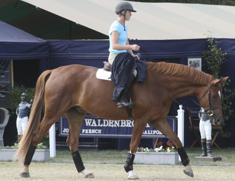 Equine Symptomatic Lameness, Why is my horse lame? Why does my horse keep stumbling? Why does my horse trip over his own feet? Symptomatic lameness right hind leg, detecting Equine Symptomatic Lameness