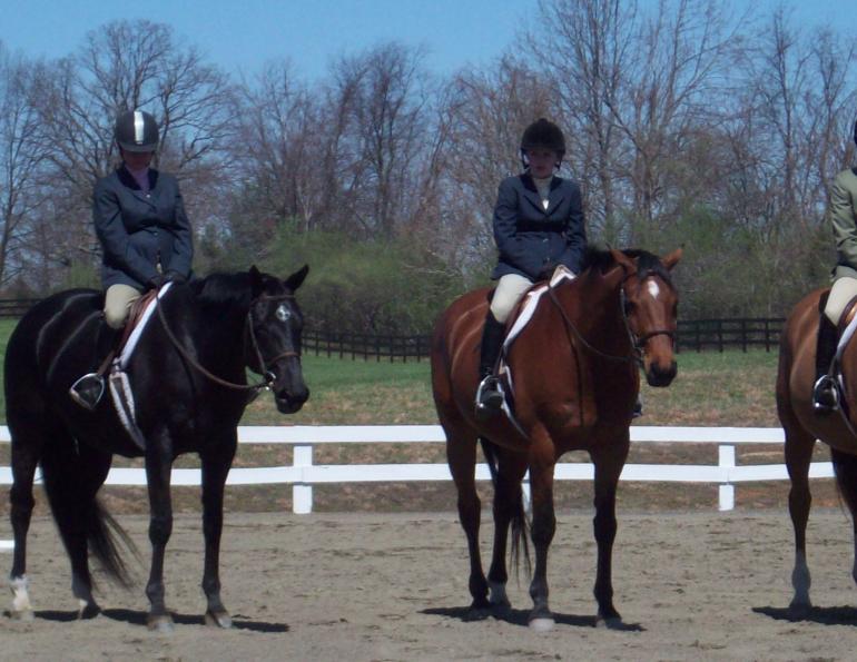 Biosecurity at horse shows