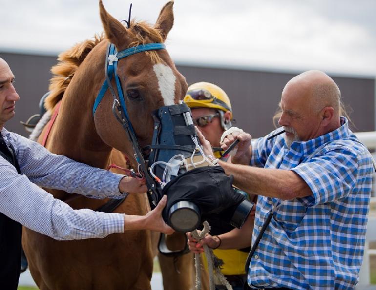 University of Calgary Faculty of Veterinary Medicine Equine Sports Medicine Source High performance equine athletes Dr. Renaud Léguillette Equine Sports Medicine donation Calgary Stampede Paul Rosenberg Dr. Erin Shields