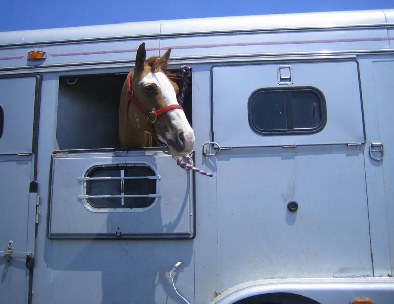 Choosing a Horse Trailer