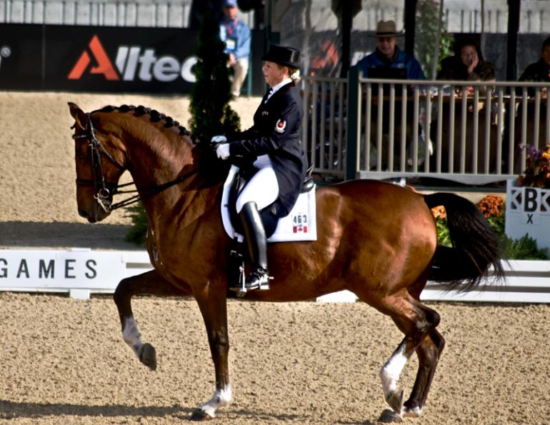 How to Prepare for Piaffe and Passage, Bonny Bonnello, dressage training pyramid apex, equine collection, equine lateral work, horse half-halt to decreased stride