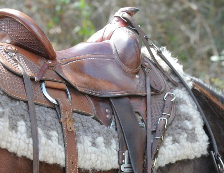 Saddling the Western Horse