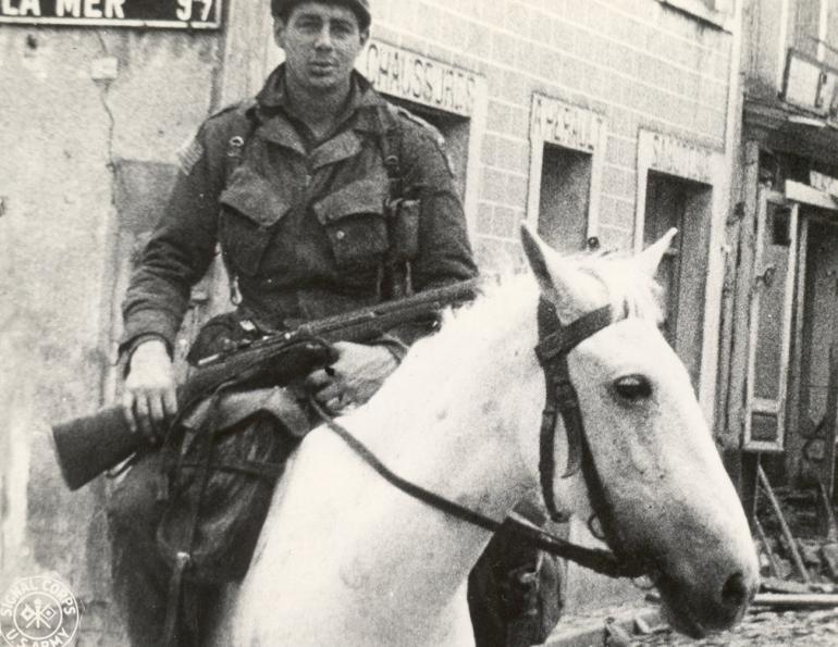 war horse, horses in war, horses in service, world war two horse, world war one horse war horse, horses in war, horses in service, world war two horse, world war one horse