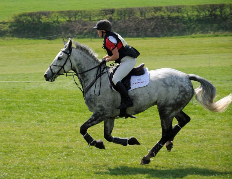 clinical signs of equine gastric ulcer syndrome, understanding equine stomach, what are equine gastric lesions? what is equine hyperkeratosis? clinical signs of EGUS clinical signs of equine gastric ulcer syndrome, understanding equine stomach, what are equine gastric lesions? what is equine hyperkeratosis? clinical signs of EGUS