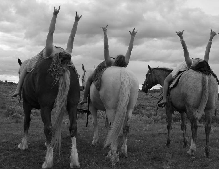 horse photo contest, chj photo contest, the love of horses, equine photo contest