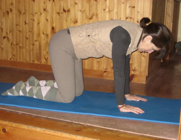 horse rider fitness for mature riders, Heather Sansom, Elroy Karius,  adult horse rider fitness