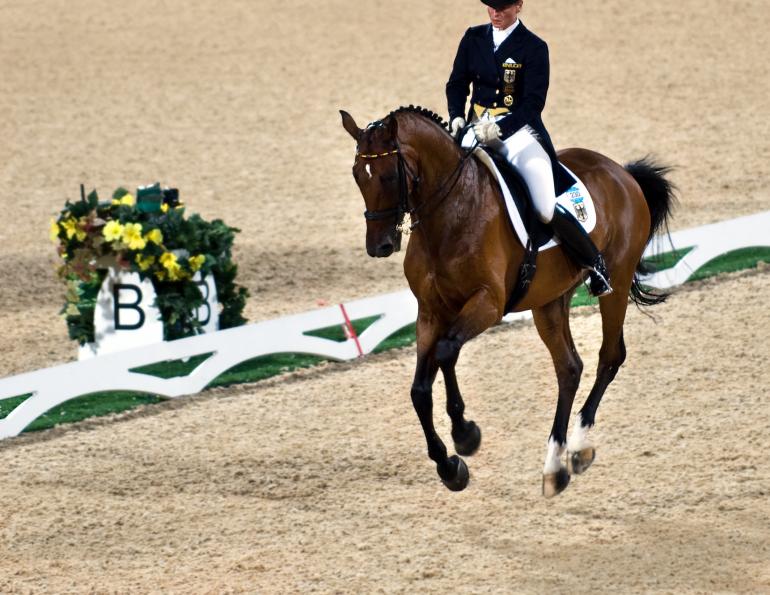 crooked flying change dressage, straight flying change dressage, flying change dressage, dressage change lead, flying lead change, balance flying change, rhythm flying change, uphill flying change, Sandra Verda