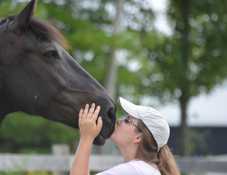 rescue horse, equine welfare, whispering hearts horse rescue, ospca, ontario standardbred adoption, osas, equine guelph, equine science