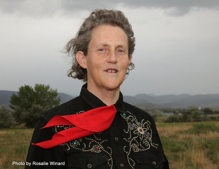 Animal Behaviour Expert Dr. Temple Grandin, Temple Grandin, livestock handling, animal fear vs animal aggression, understanding equine behaviour, Animal Sciences at Colorado State University, Teresa van Bryce, Grandin autism, Grandin animal behaviour, horse psychology
