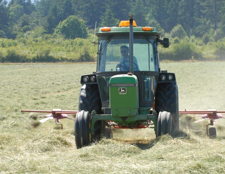 Understanding Processed Feeds for Horses