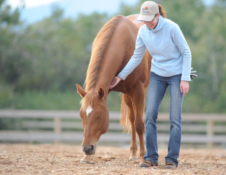 Mismatched Horses & Riders