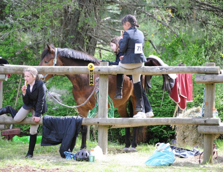 Lindsay Grice, Horse Show Safety, equine show safety, horse safety