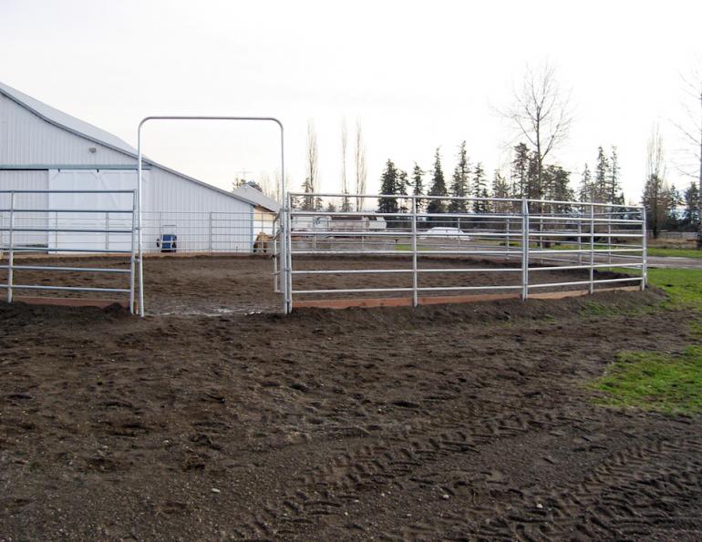 horse round pen training, horse penning practices, equine flight instinct, teaching horse ground manners, horse round pen mental awareness