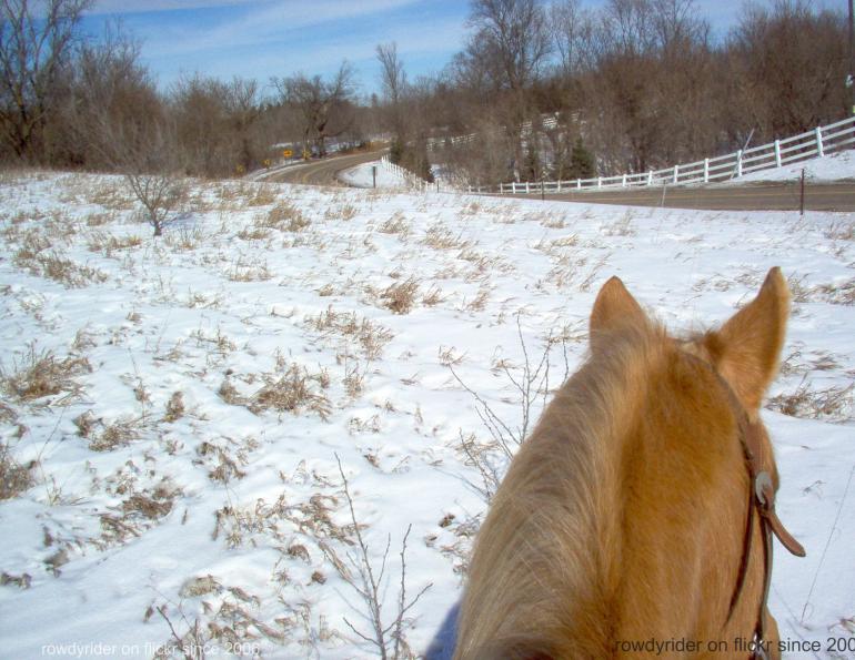 Stan Walchuk, Jr, trail horse training, off season trail horse, desensitize horse, bomb proof horse, horse trail riding tips, winter horse training