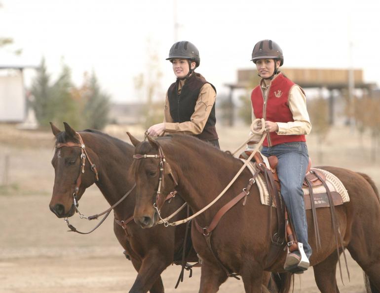 horse trail riding tips, horse riding near home, trail riding young horse