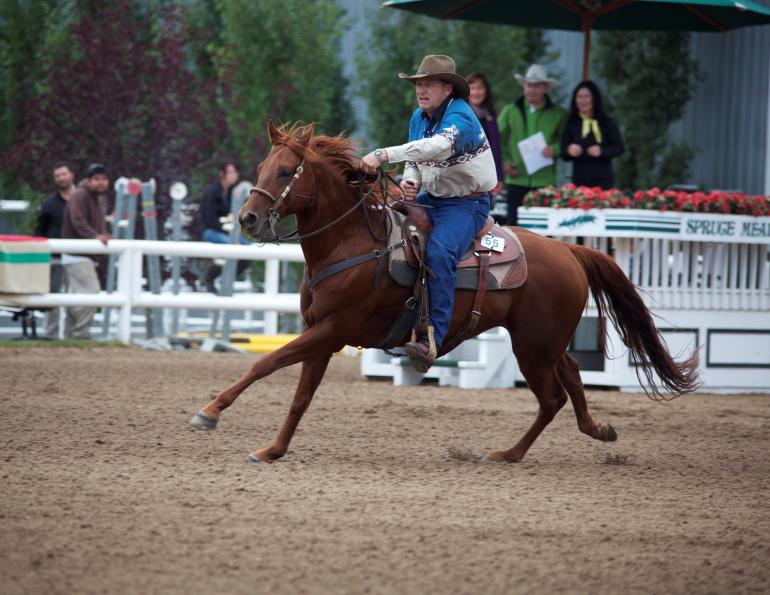 tying up horses, rhabdomyolysis, overexercise horse, horse ailment, Sporadic Exertional Rhabdomylosis, Chronic Recurrent Rhabdomyolysis, Recurrent Exertional Rhabdomyolysis