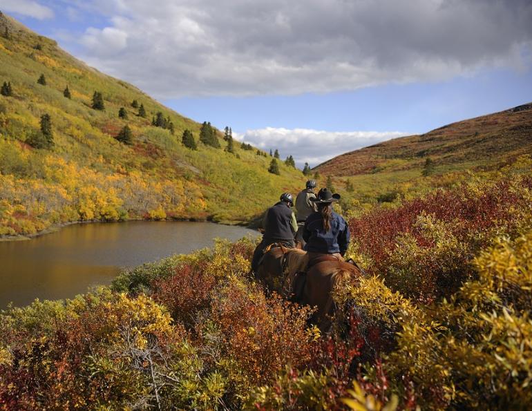 daying, equine holidays, canadian wilderness, Yukon Horsepacking Adventures, whitehorse horse riding
