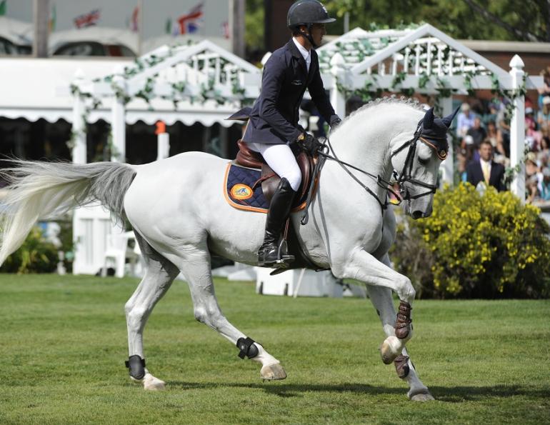 Collection for the Jumping Horse