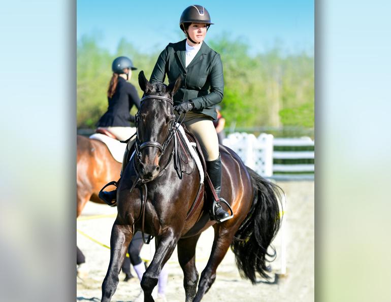 equine nosebands, equine martingales, horse whips, draw reins, tack allowed equestrian competition, aqha competition rules, equestrian canada competition rules