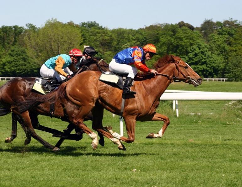 slipstreaming, reducing drag, horse racing, drag horse racing, Professor Franz “Tino” Fuss.