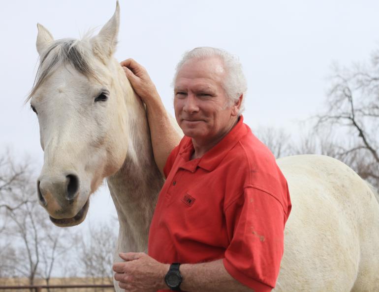 building trust with your horse, horse trust, equine trust, anne gage