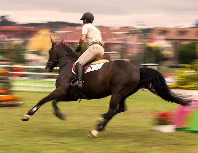 riding nervous, rider anxiety, horse show anxiety, horse show nervousness, april clay