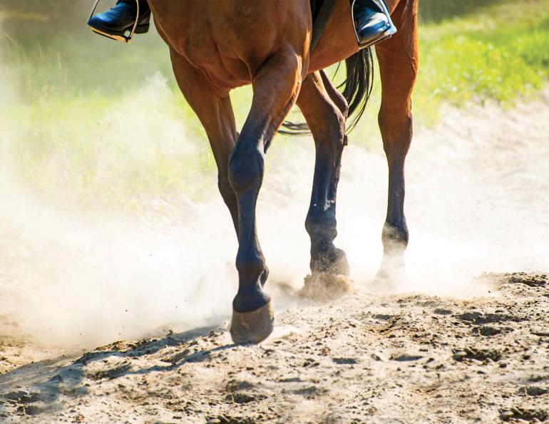 crystalline sillica riding stable, dangers of riding arena dust, health hazards riding arena dust