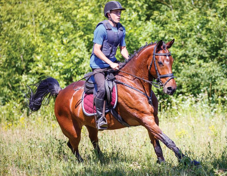 horse rider psychology, equestrian psychology, mantras for horse people, psychology horse people, mental wellness equestrians, annika mcgivern