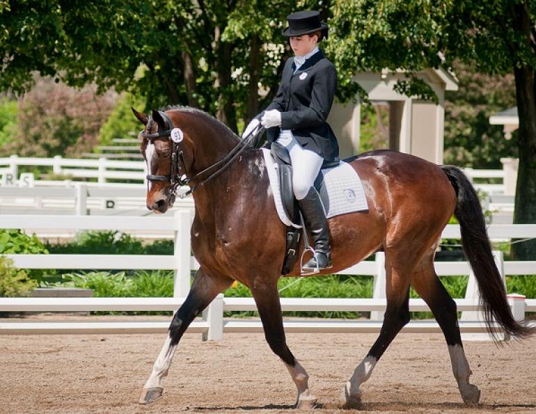 The Best Time to Feed Your Horse Before Competition