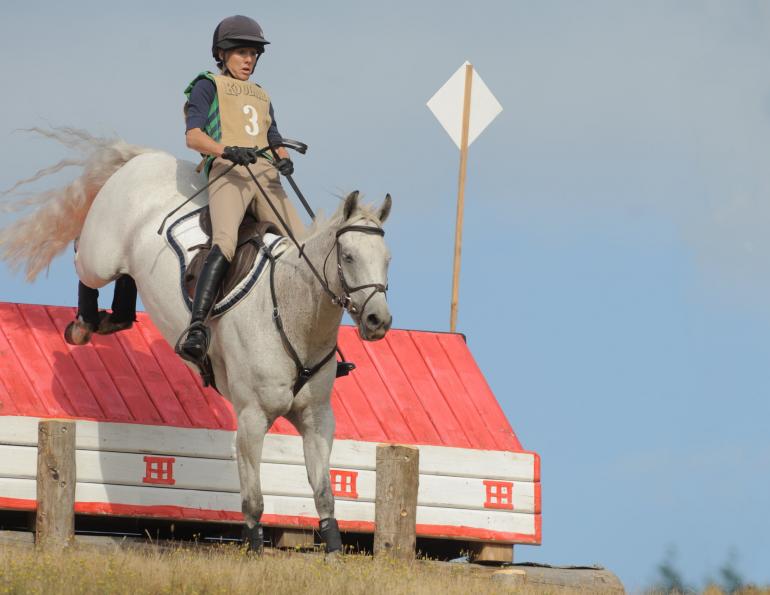 Suspensory Ligament Injuries horse, Suspensory Ligament Injuries horse treatment, equine cannon bone, Horse Care Equine Health Suspensory Ligament Injury Lameness, Suspensory Ligament Diagnosis, Peri-ligamentous Injections, Shock Wave Therapy, Ligamentous Injections, equine Desmoplasty, equine Fasciotomy, horse care