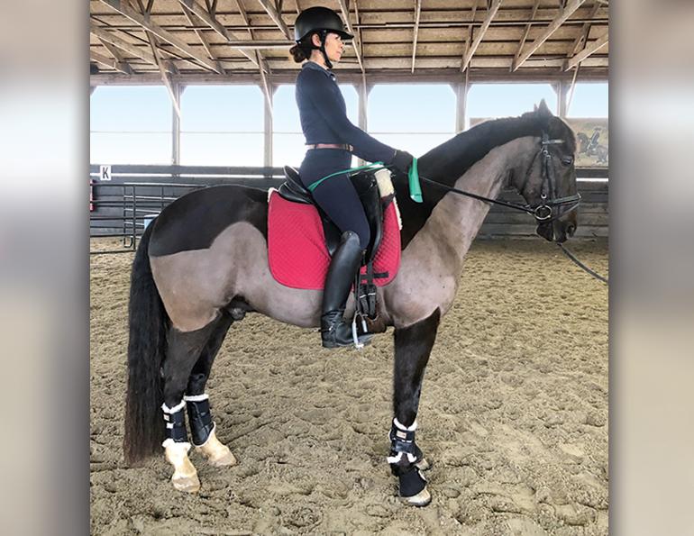 exercises for horse riders, pilates for hosre riders, how to be a better horse rider, fitness for horse riders, band exercises horse riders