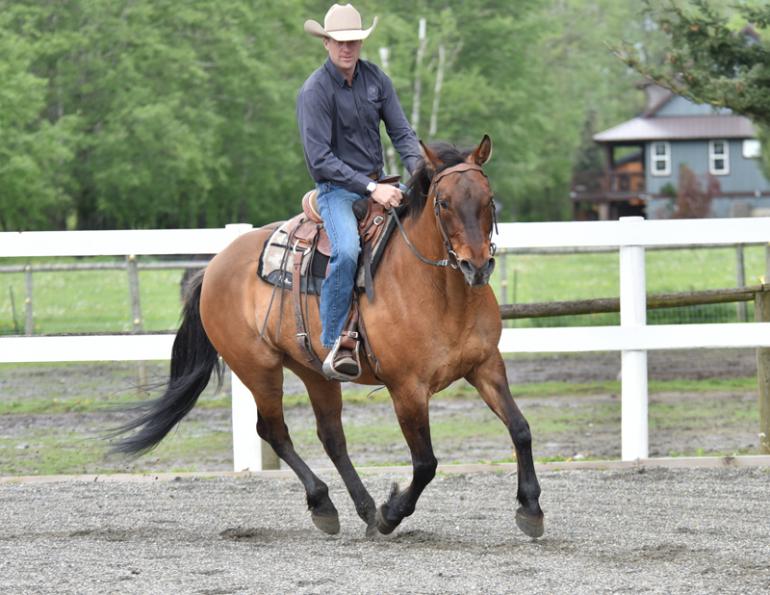 Jonathan Field, how to stop horse bucking, why is horse bucking, horse won't canter trot, groundwork for horse