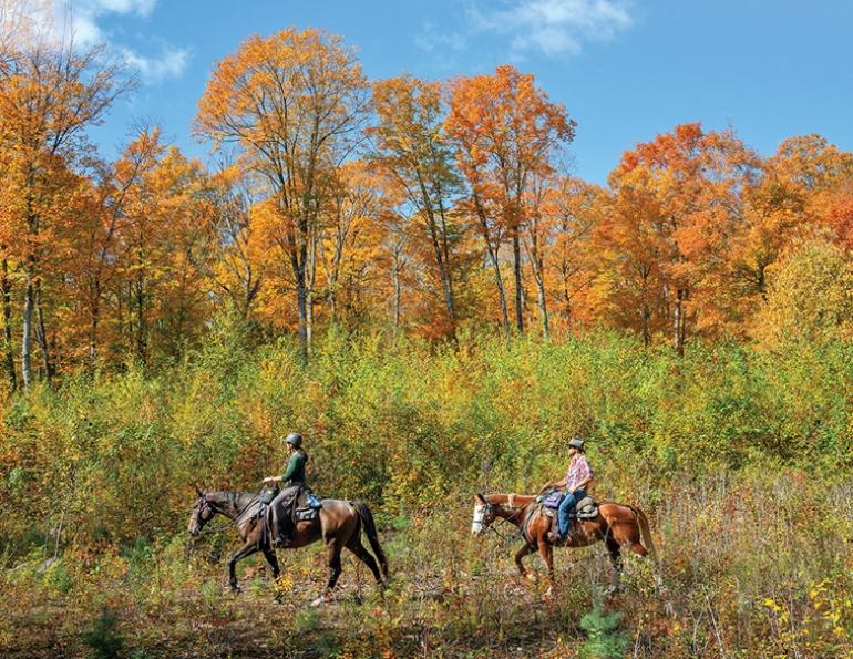 south algonquin equestrian trails, camping with horses, equestrian campsites, horse summer camps, trail riding south algonquin