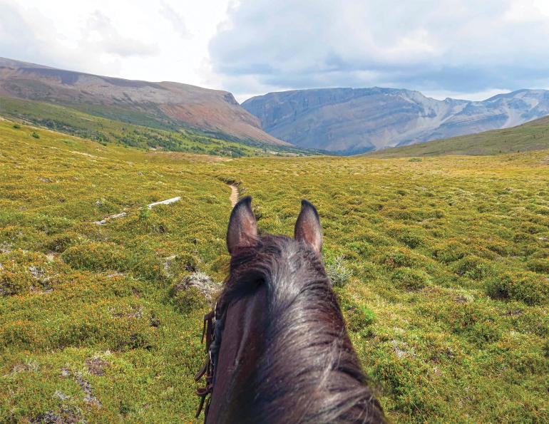 horse camping tips, some ways to improve horse camping, go camping with your horse