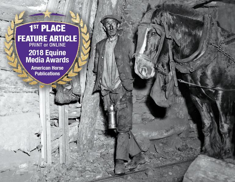 Pit Ponies, Pit Horses, pit pony history, miner Ceri Thompson, Canadian Coal Mining history, Sable Island, underground stables, Underground haulage, Coal Mining Canada Pit Ponies, Pit Horses, pit pony history, miner Ceri Thompson, Canadian Coal Mining history, Sable Island, underground stables, Underground haulage, Coal Mining Canada