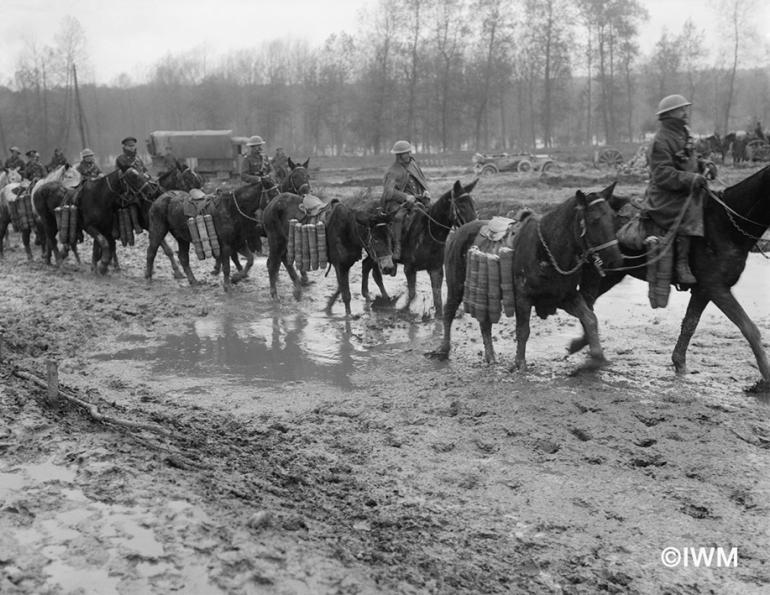 Brooke USA equine welfare horse welfare World War One Horses